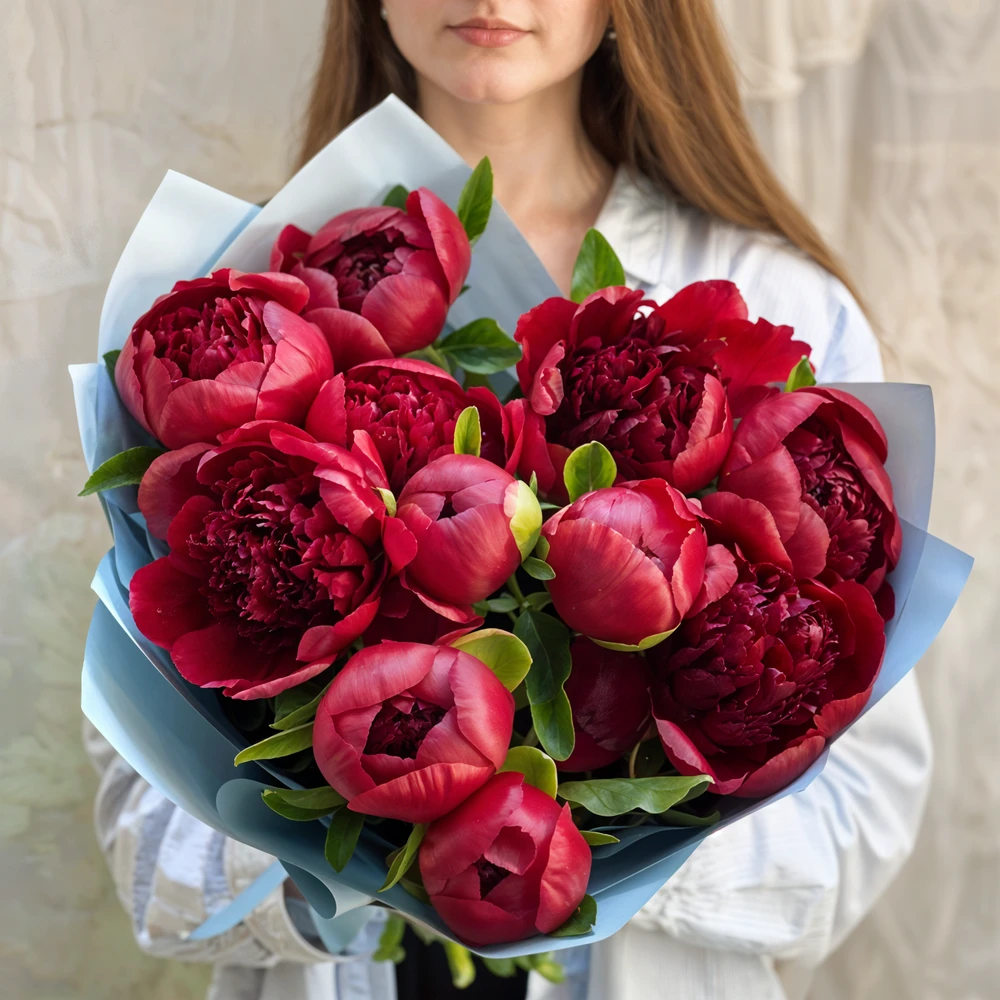 Bouquet of 10 red peonies with fillers in paper packing.