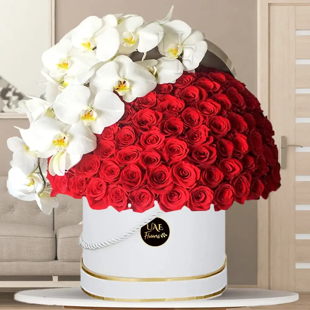 50 red roses and 2 phalaenopsis orchid on top beautifully arranged in a white round box