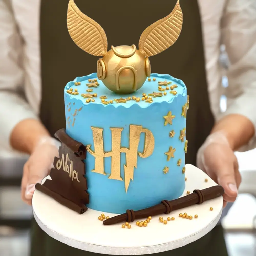 3kg Harry Potter-themed cake in blue