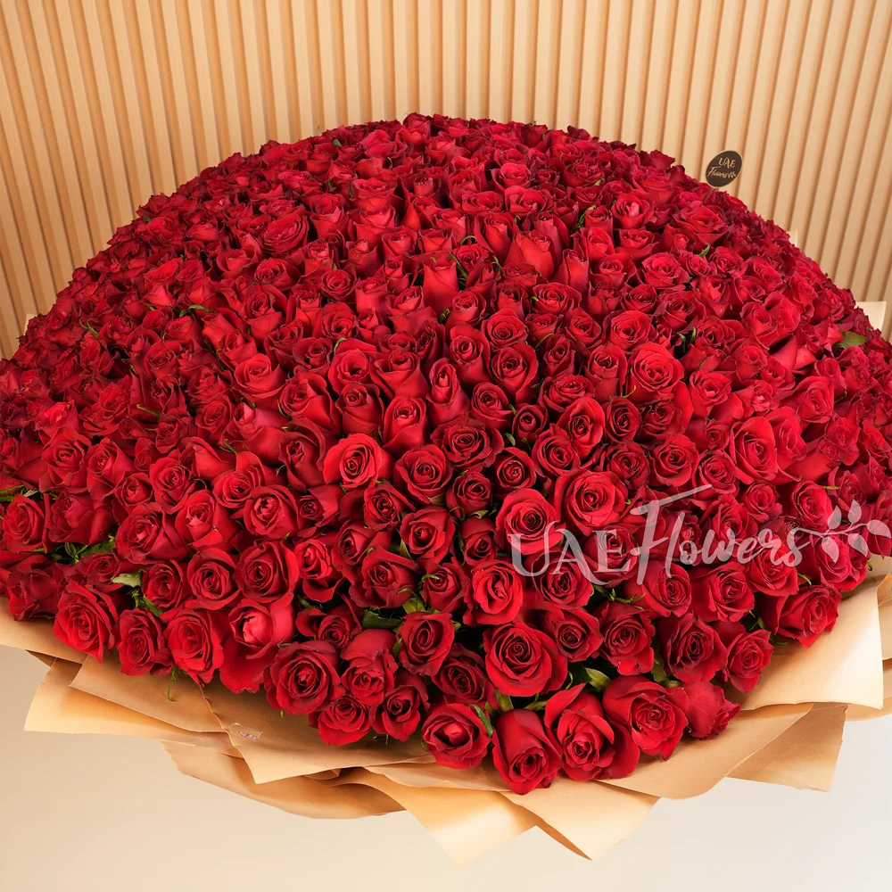 Bouquet of 600 red roses wrapped in wrapping paper and tied with ribbons.