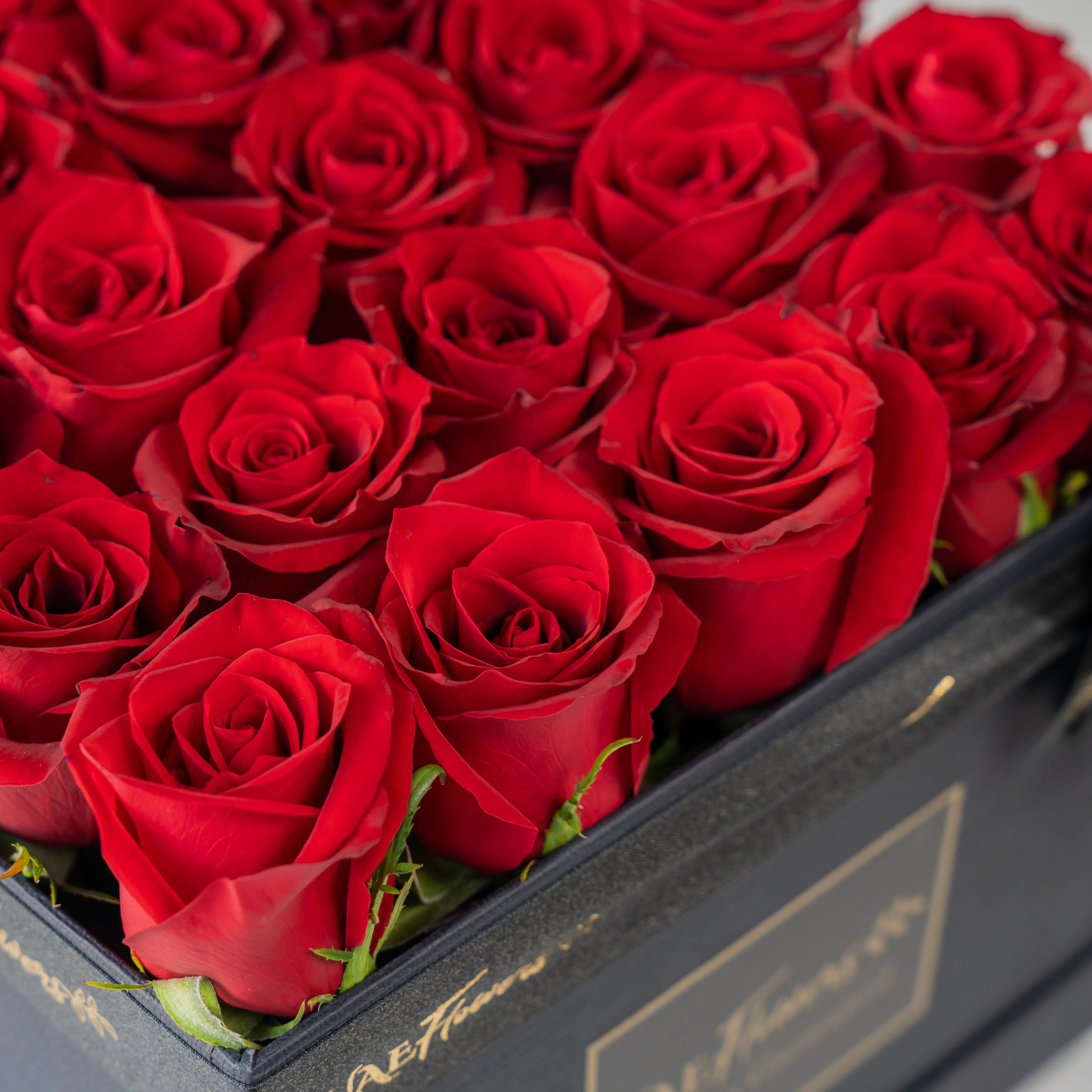25 red roses in a square box.