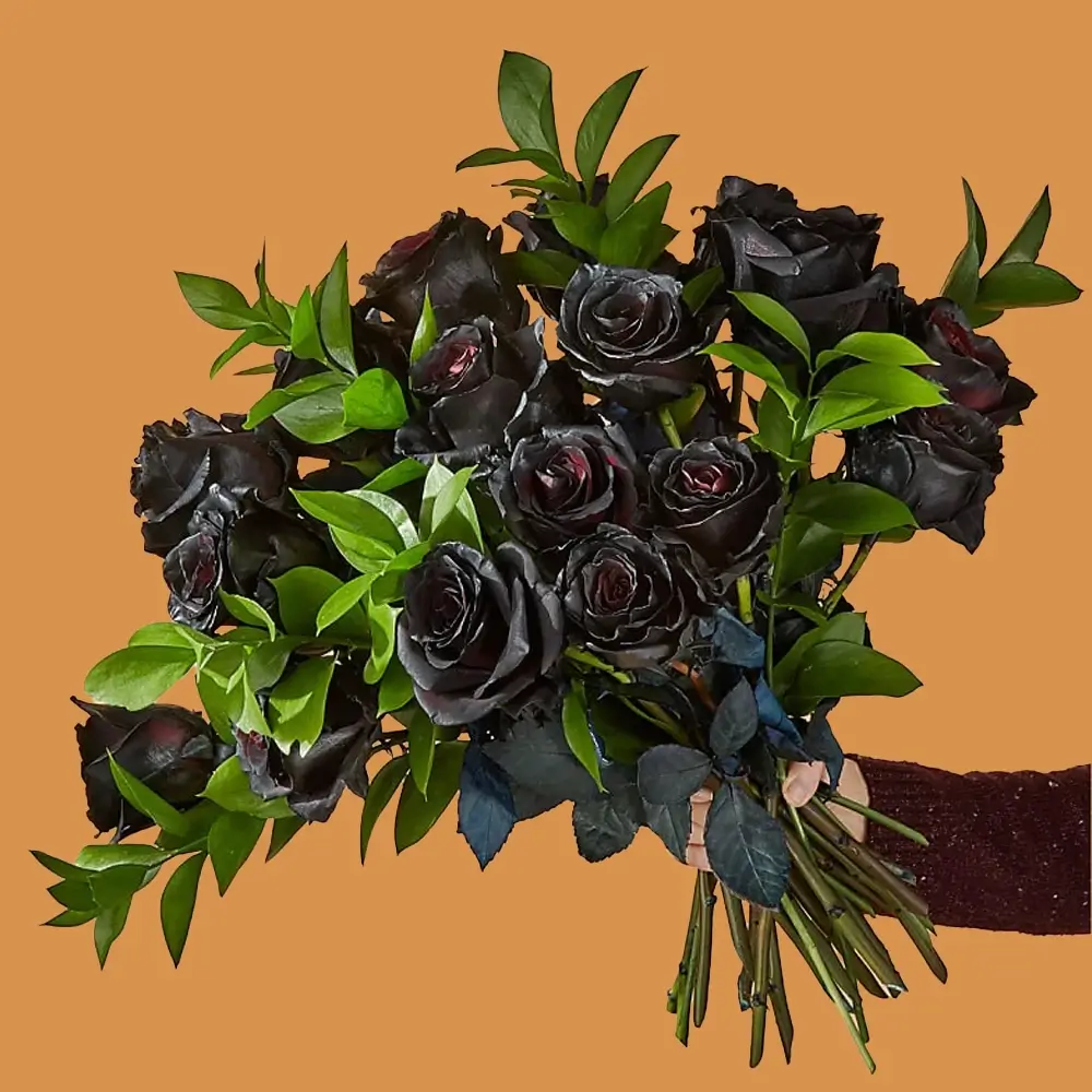 A bouquet of 20 black sprayed on red roses, & green fillers tied with ribbon A bouquet of 20 black sprayed on red roses, & green fillers tied with ribbon