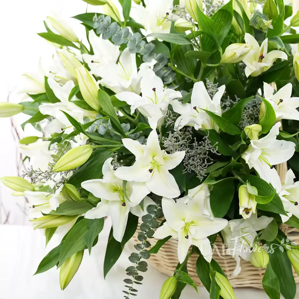 40 white lilies complemented by green fillers