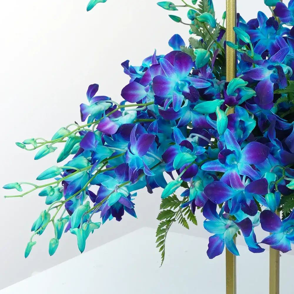 100 blue orchids arranged on a stand