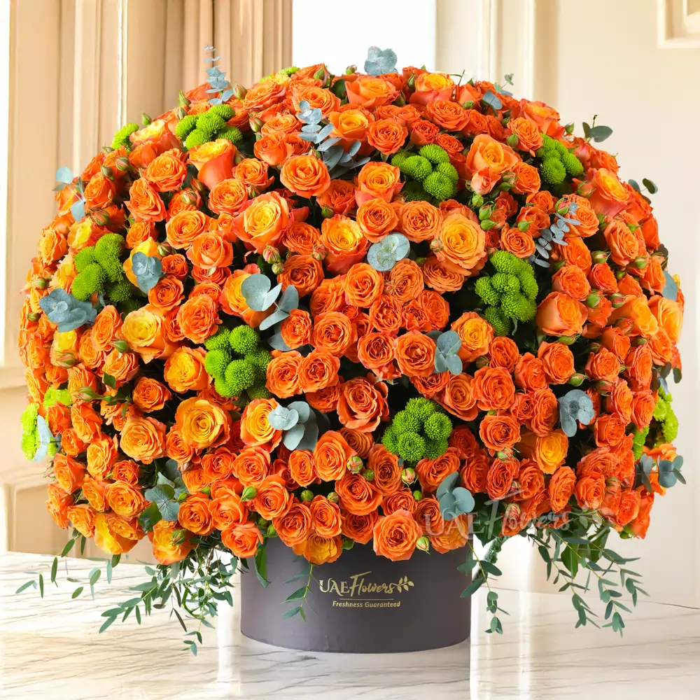 box with 70 orange spray roses, 100 orange roses, and 15 green button chrysanthemums