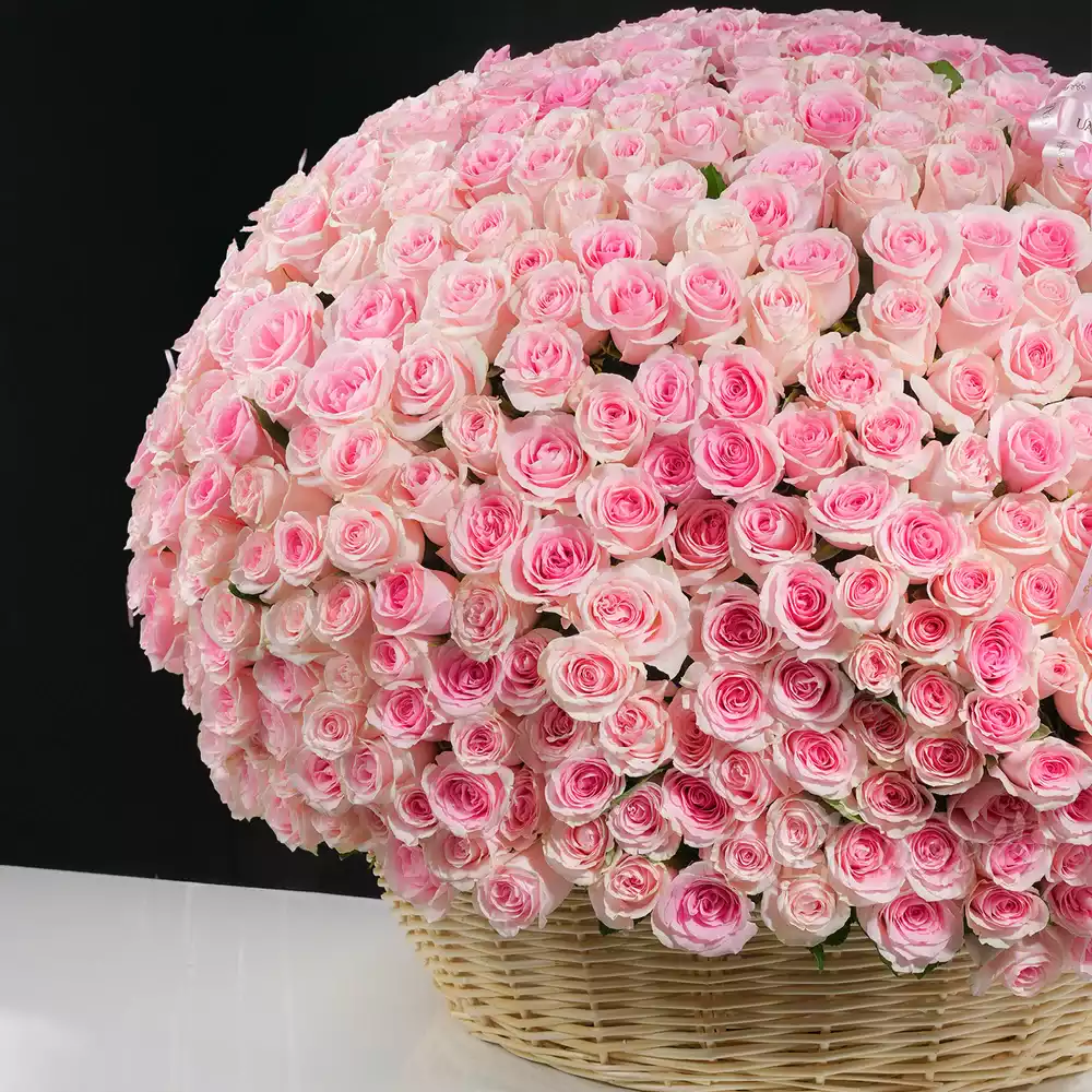 round basket filled with 600 pink roses