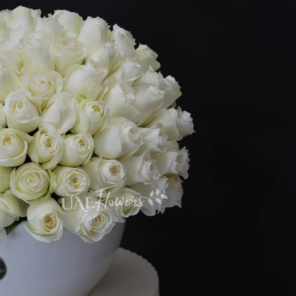100 white roses bouquet