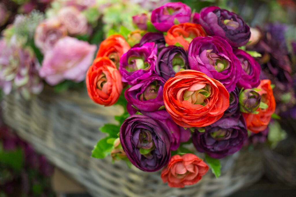 Most Romantic Flowers for Your Partner